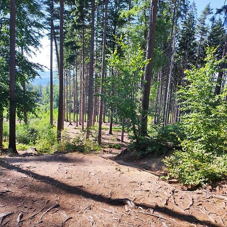 Apartament "Na Szlaku" Hlucholazy Exteriér fotografie